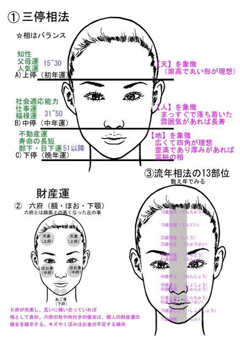 面相診断